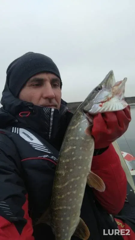 Pike — Oka, Nov 18, 2019