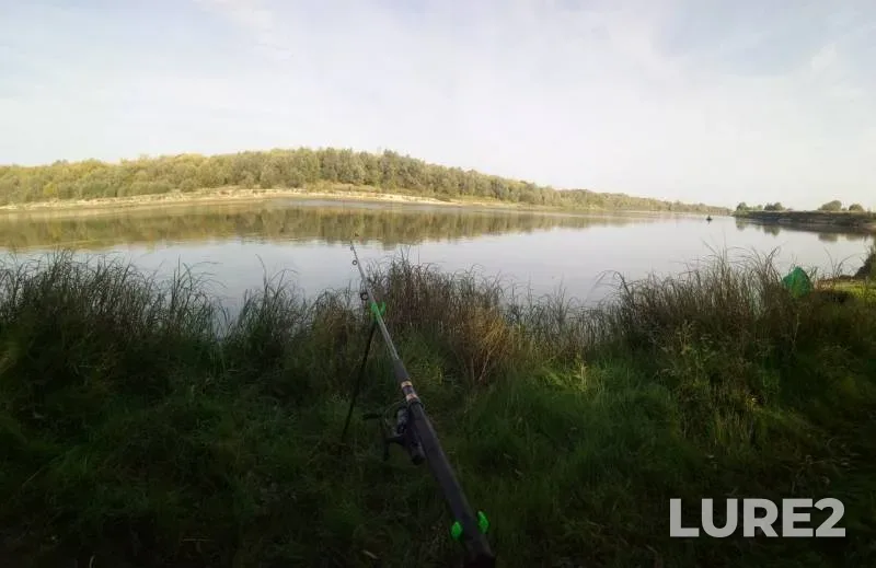 Wels catfish, White bream — Oka, Sep 09, 2019