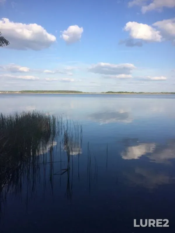 Crucian carp, Roach — Matyra, May 12, 2019