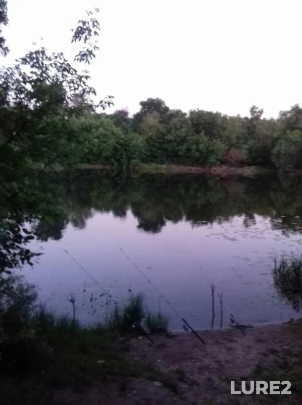 Chub — Voronezh, Jun 07, 2019