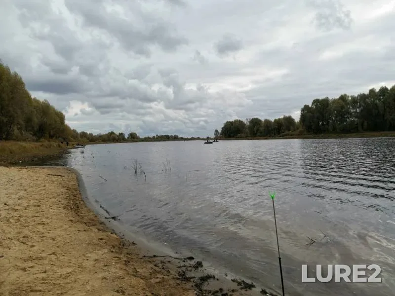 Rudd — Nizhegorodskaya oblast, Sep 29, 2019