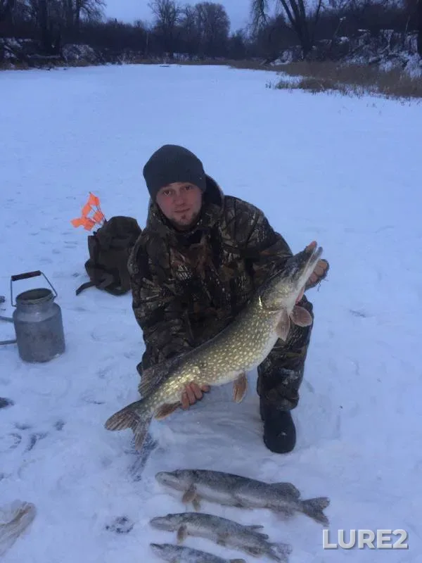 Perch, Pike — Kindelya, Jan 07, 2018