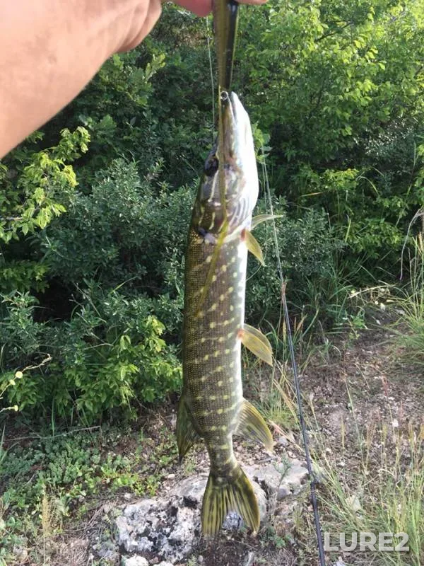 Pike — Sukhaya, Jul 24, 2019