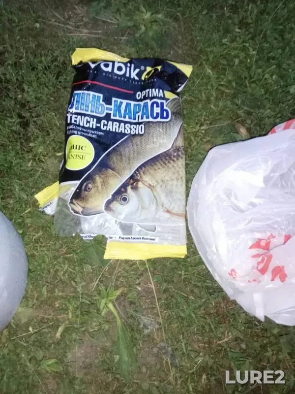 Perch, Rudd — Zadnya, Jun 16, 2019