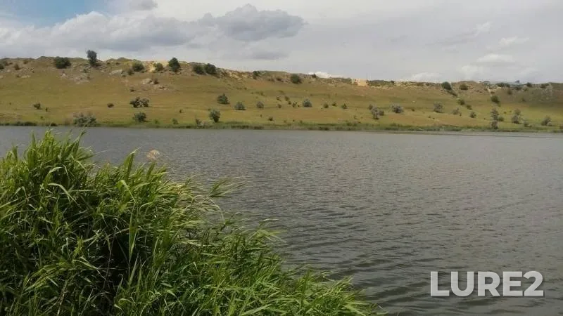 Carp, Crucian carp — Tuguluk, Jul 09, 2017