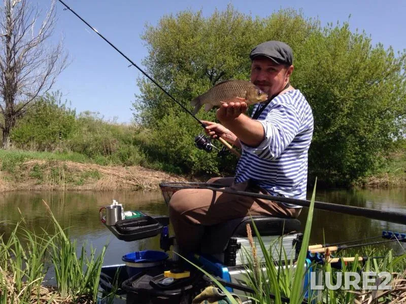 Chub, Crucian carp — Chir, May 02, 2017