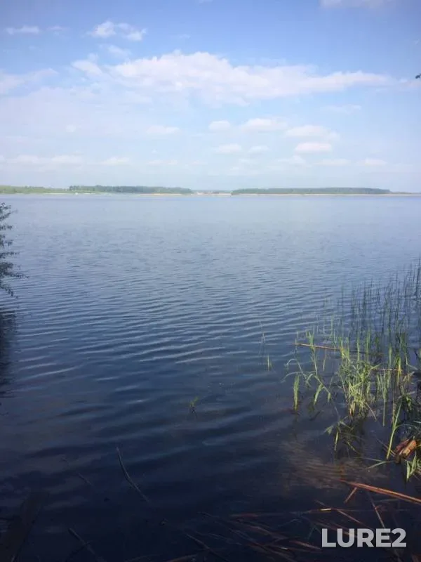 Crucian carp, Roach — Matyra, May 16, 2019