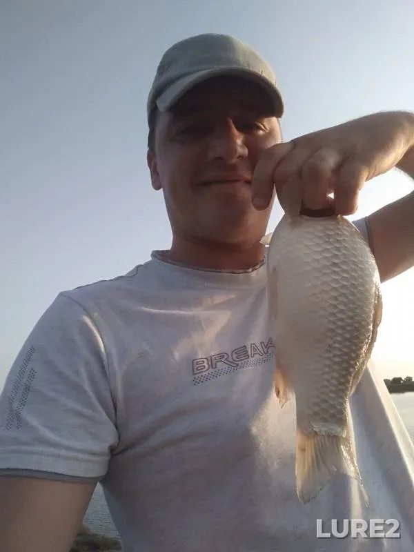 Crucian carp — Kabachnyy yerik, Jul 27, 2019