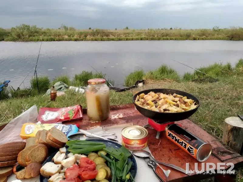 Crucian carp — Ingala, Jun 02, 2019