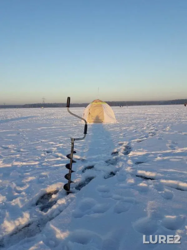 Perch, Roach — Beloyarskoye, Dec 17, 2018