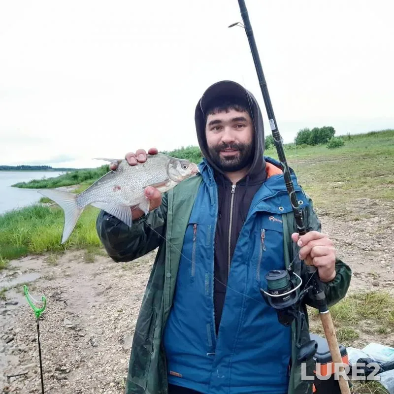 Bream — Severnaya Dvina, Jul 21, 2019