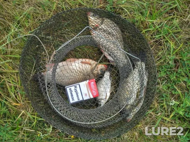 Crucian carp — Vorskla, Jul 16, 2017