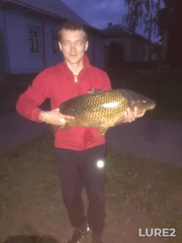 Carp — Orlovskaya oblast, May 24, 2017