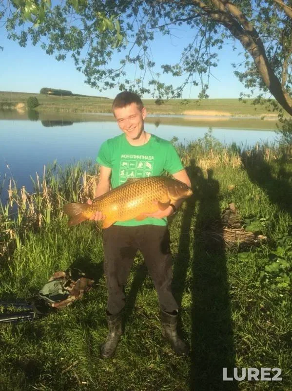 Carp — Livenka Lesnaya, May 21, 2015