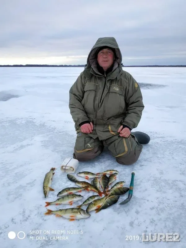 Perch, Pike — Shablish, Nov 16, 2019