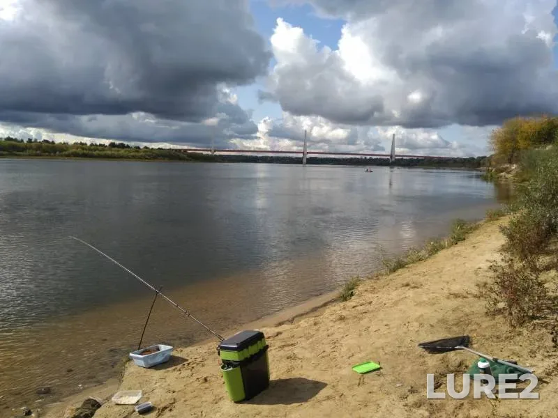 Bream, Roach — Oka, Sep 21, 2019