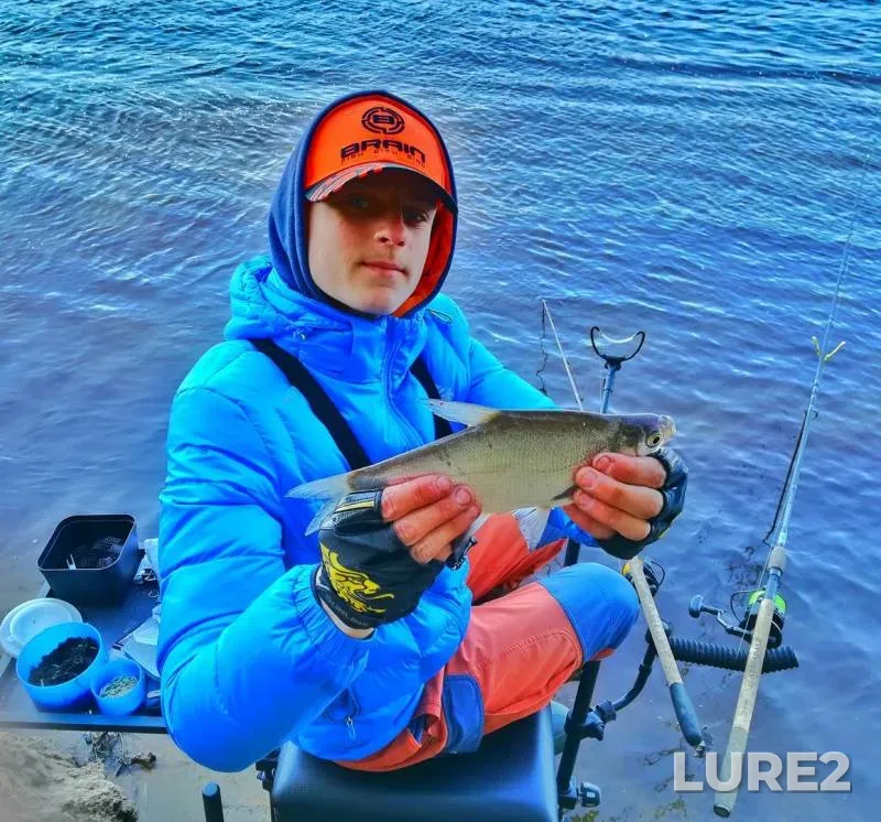 Perch, Roach — Dnepr, Apr 14, 2018