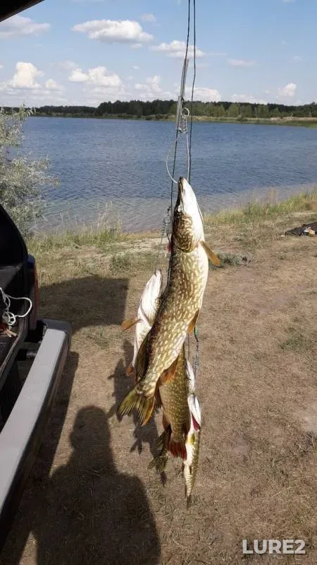 Pike — Chelyabinskaya oblast, Uvelskiy rayon, Jul 22, 2019