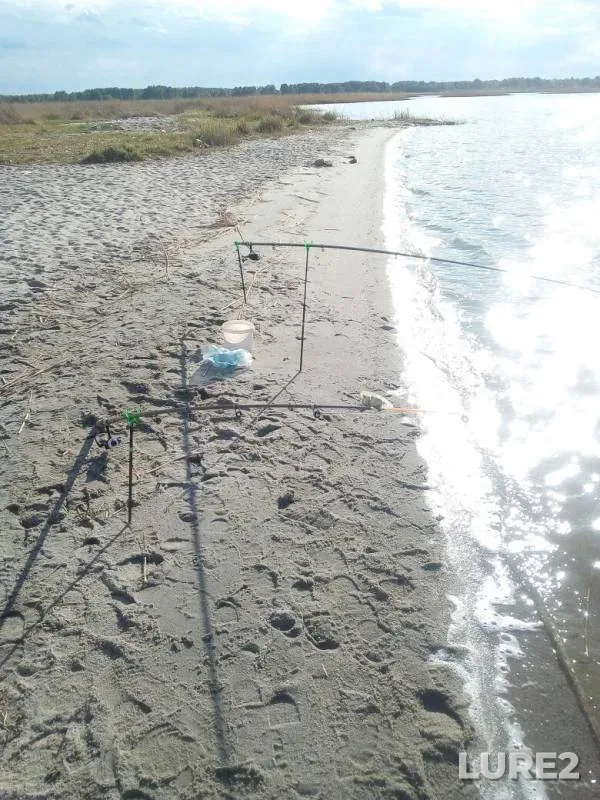 Crucian carp — Sugoyak, May 22, 2019