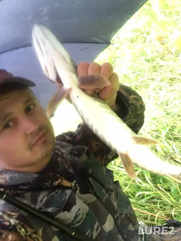 Ide, Pike — Ay, Aug 02, 2019