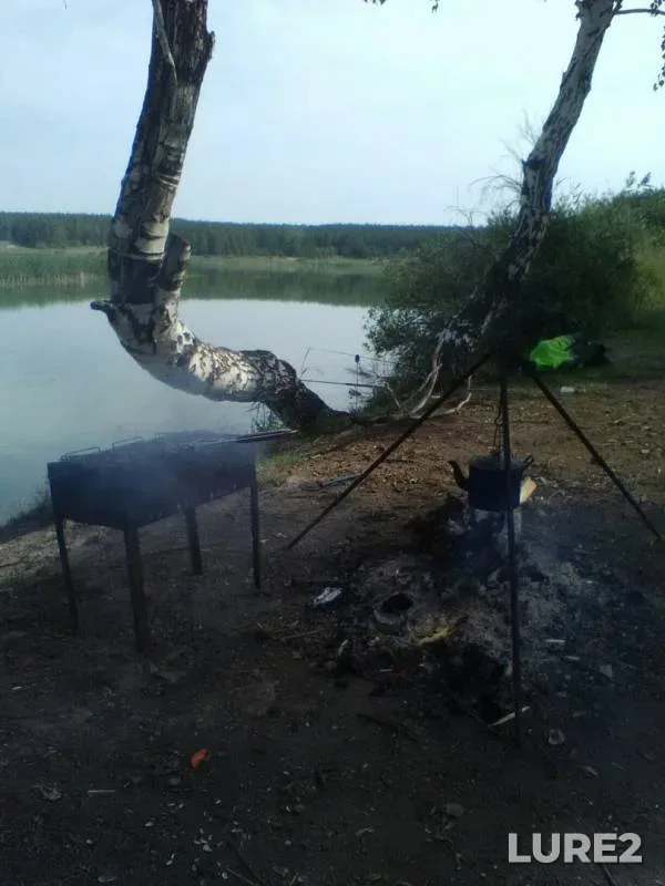 Carp — Kabanka, Aug 18, 2019