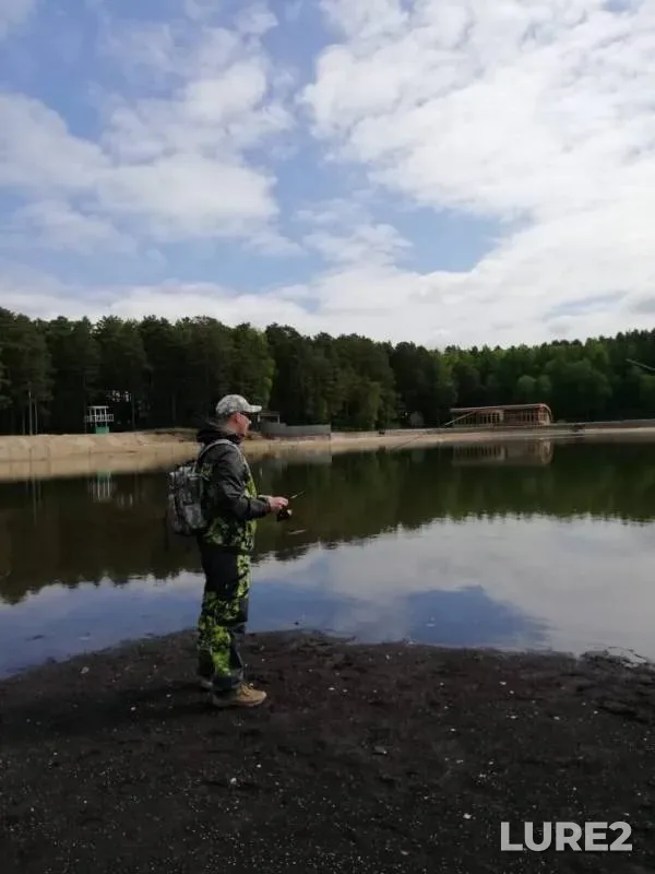 Perch — Novosibirskaya oblast, Jun 03, 2019