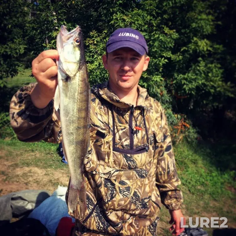 Zander — Berd, Sep 08, 2018