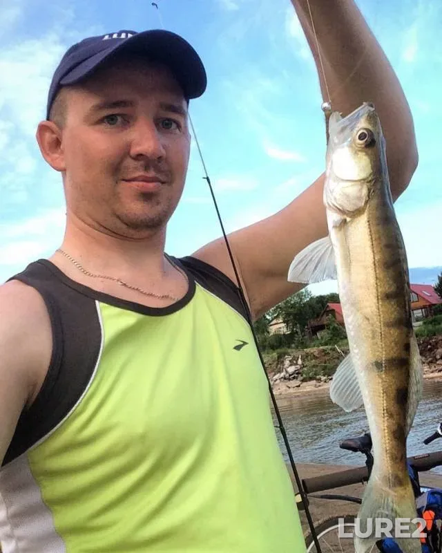Zander — Razdelnaya, Jun 18, 2018