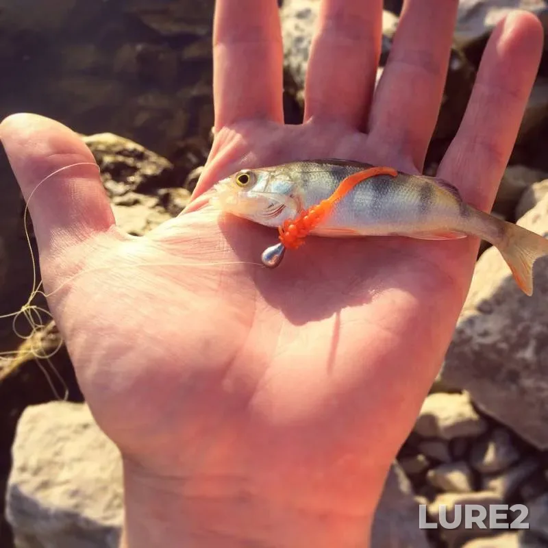Perch — Razdelnaya, Jun 08, 2018