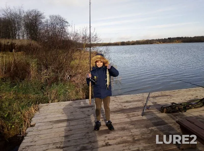 Pike — Kipenskoye, Oct 25, 2019