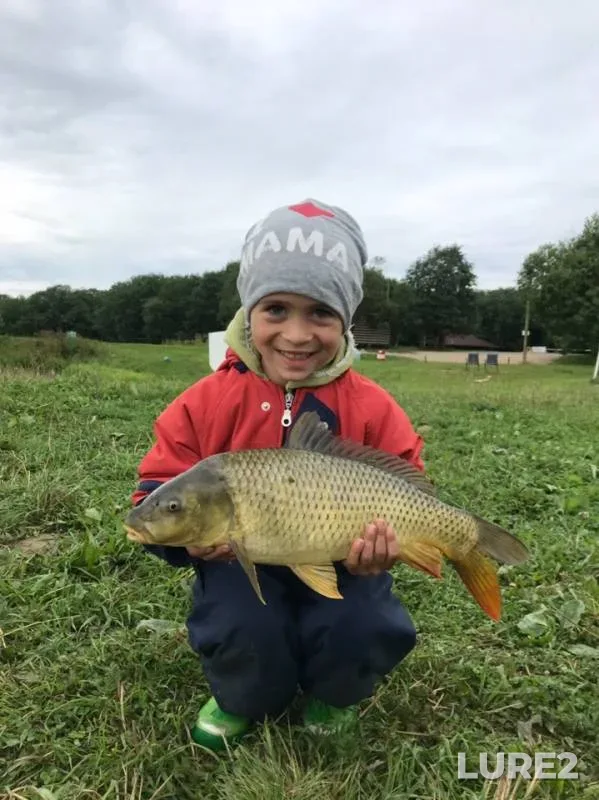Carp — Kipenskoye, Jul 24, 2019