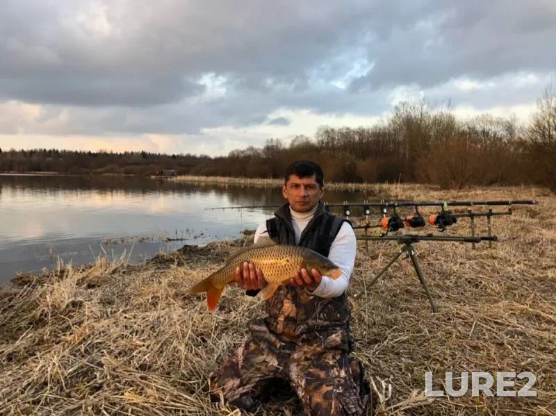 Carp — Kipenskoye, Apr 20, 2019
