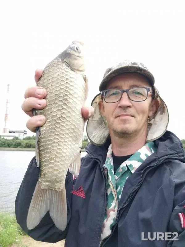 Crucian carp — Dresna, Aug 09, 2019