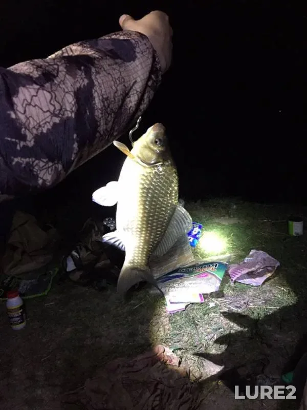 Crucian carp — Dresna, Apr 21, 2019