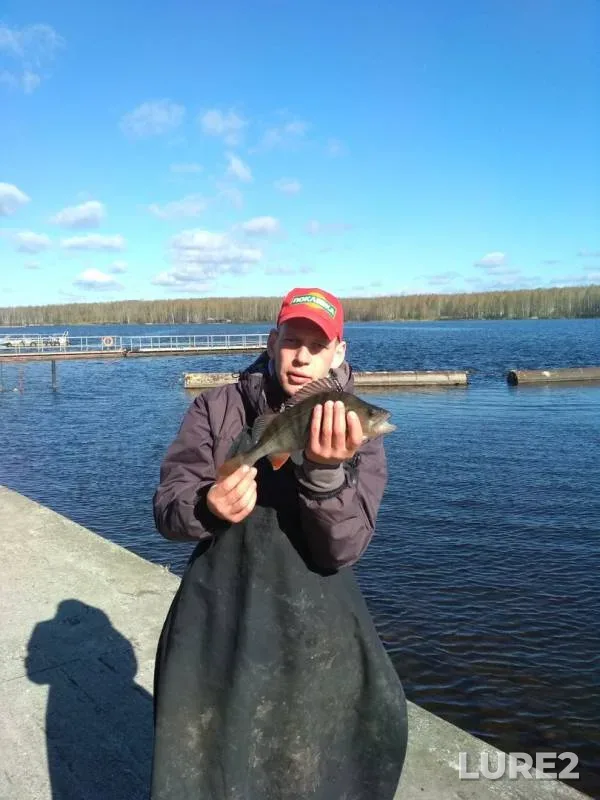 Bream, Perch — Desna, Apr 29, 2018
