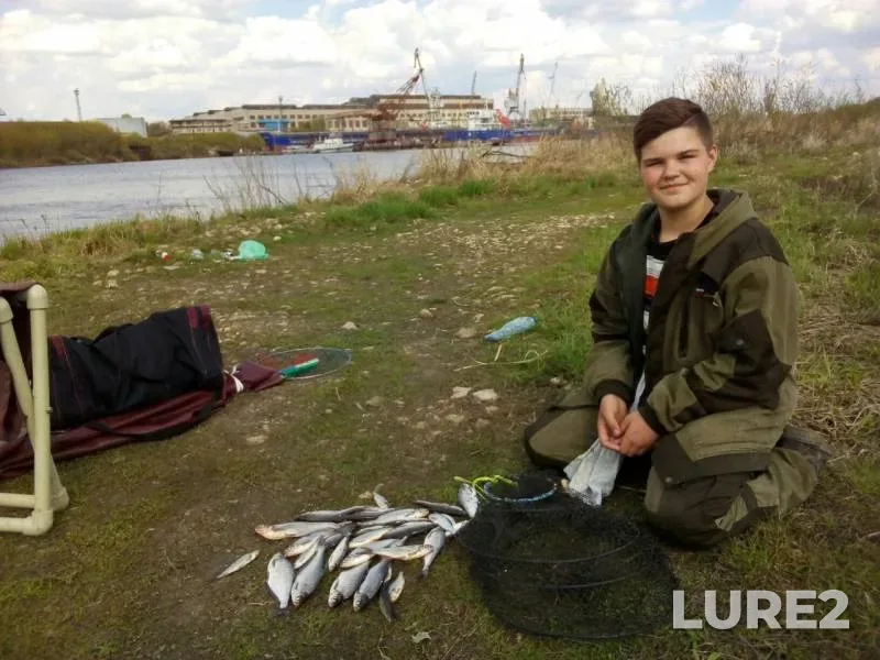 Bream, Roach — Nizhegorodskaya oblast, May 05, 2019