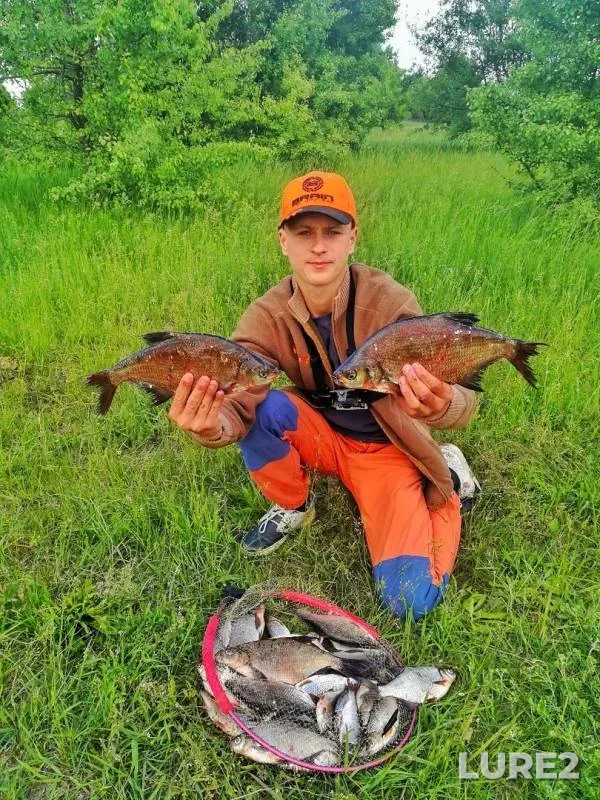 Bream, Roach — Dnepr, May 20, 2018
