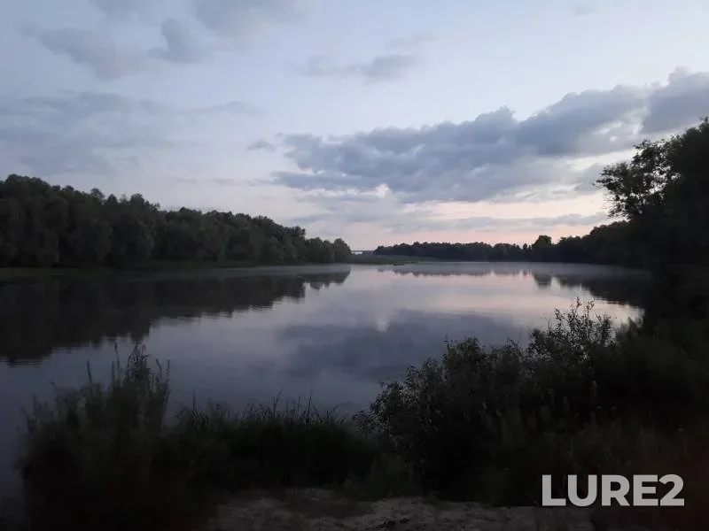 Perch, Roach — Dnepr, Jul 08, 2018