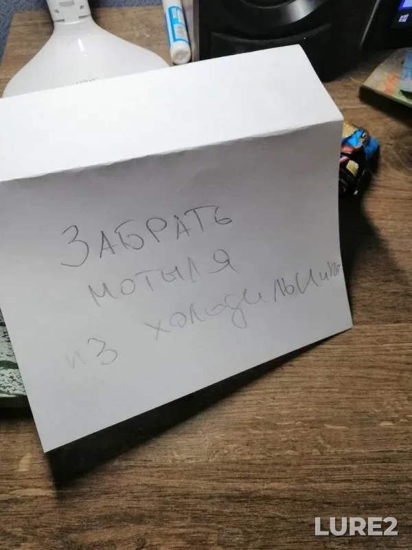 Perch, Pike — Dnepr, Dec 28, 2018
