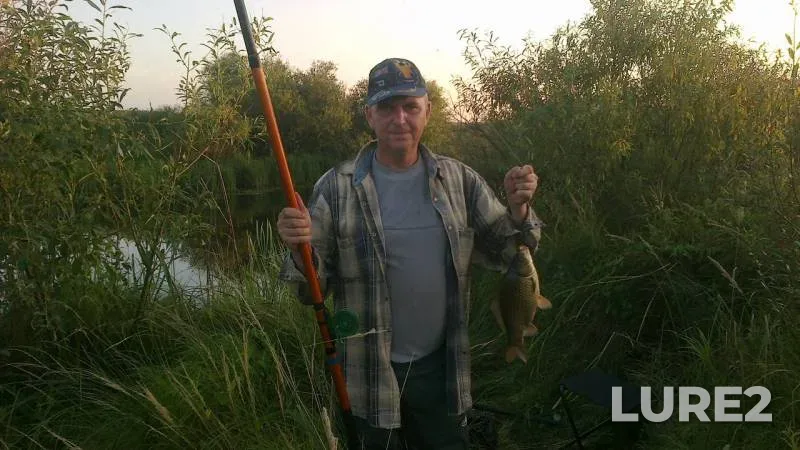 Crucian carp — Pra, Aug 07, 2016