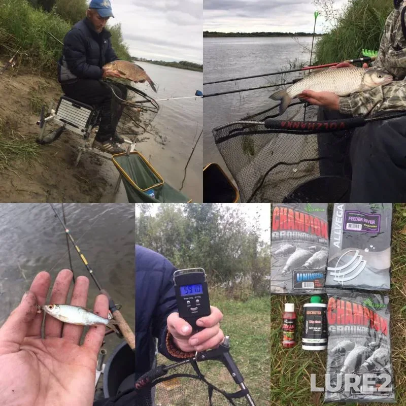 Bream — Oka, Aug 31, 2017