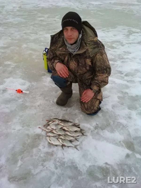 Bream, Perch — Akatovskoye, Mar 31, 2018