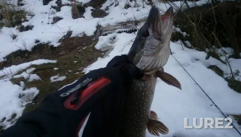 Pike — Dresna, Dec 10, 2017