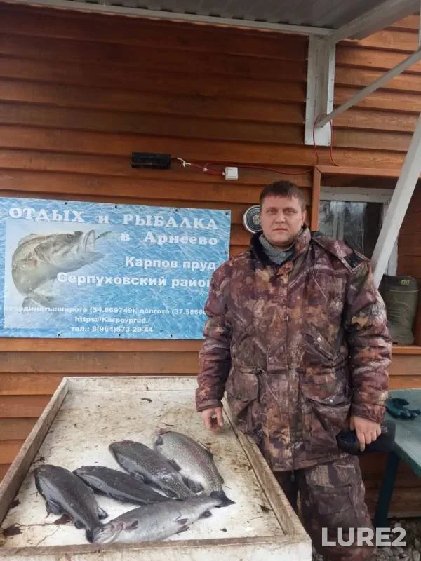 Rainbow trout — Rechma, Nov 20, 2019