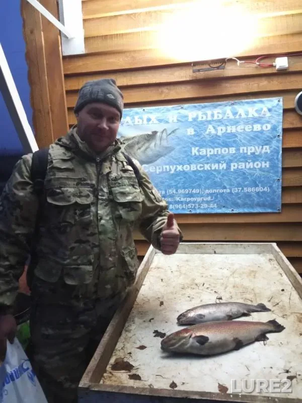 Rainbow trout — Rechma, Nov 19, 2019
