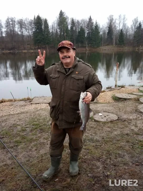 Rainbow trout — Rechma, Nov 19, 2019