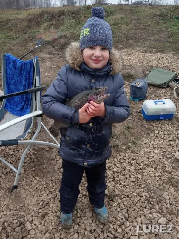 Rainbow trout — Rechma, Nov 17, 2019