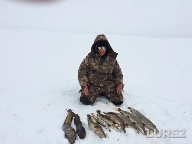Burbot, Perch — Nyamdoty, Apr 21, 2019