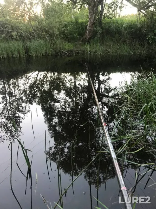 Pike — Sapsha, Jun 13, 2018