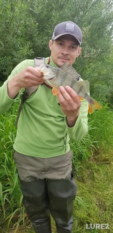 Perch — Oka, May 26, 2019